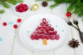 Raspberry Christmas tree on a white plate with white chocolate and icing sugar.