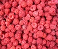 Raspberry close up - berry background