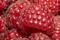 Raspberry close-up photo, macro focus bracketing, pink-red, hairs, raspberry background