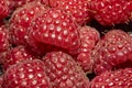 Raspberry close-up photo, macro focus bracketing, pink-red, hairs, raspberry background