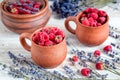 Raspberry composition in pottery with dry lavender rustic background