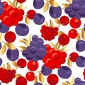 Raspberry and cranberry seamless pattern.