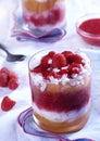 Raspberry dessert Royalty Free Stock Photo