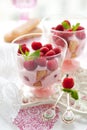 Raspberry dessert Royalty Free Stock Photo