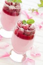 Raspberry dessert panna cotta Royalty Free Stock Photo