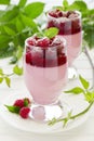 Raspberry dessert panna cotta Royalty Free Stock Photo