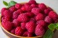 A raspberry dish Royalty Free Stock Photo