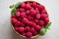 A raspberry dish III Royalty Free Stock Photo