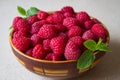 A raspberry dish V Royalty Free Stock Photo