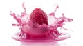 Raspberry dropping into pink liquid creating a splash isolated on white Royalty Free Stock Photo