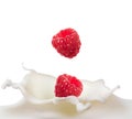 Raspberry falling into splash of milk Royalty Free Stock Photo