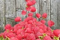 Raspberry falls to the lot on a wooden background