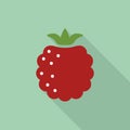 Raspberry flat icon with shadow