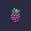 Raspberry flat icon