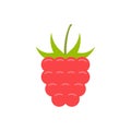 Raspberry. flat style