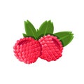 Raspberry Flat Vector Sticker