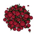 Raspberry frame, sketch for your design