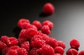 Raspberry fresh berries closeup, ripe fresh organic Raspberries over black background, macro shot