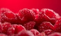 Raspberry fresh berries closeup, ripe fresh organic Raspberries over red background, macro shot