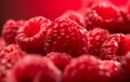 Raspberry fresh berries closeup, ripe fresh organic Raspberries over red background, macro shot