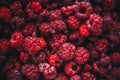 Raspberry fresh berry eco friendly background. Macro photo food of raspberries. The concept of health, vitamins for colds, proper