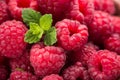 Raspberry fresh fruit background