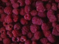 Raspberry - a fresh healthy sweet fruit for your breakfast or lunch