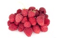 Raspberry