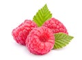 Raspberry fruit Royalty Free Stock Photo