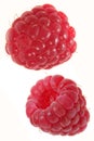 Raspberry fruit