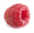 Raspberry fruit