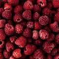 Raspberry fruit background. Berry background for a good mood