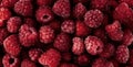 Raspberry fruit background. Berry background for a good mood