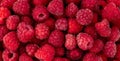 Raspberry fruit background. Berry background for a good mood