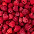 Raspberry fruit background. Berry background for a good mood