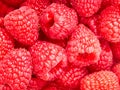 Raspberry fruit background Royalty Free Stock Photo