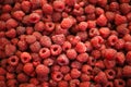 Raspberry fruit background Royalty Free Stock Photo