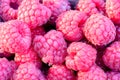 Raspberry fruit background. Texture background ripe pink raspberry