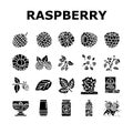raspberry fruit berry red food icons set vector Royalty Free Stock Photo