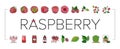 raspberry fruit berry red food icons set vector Royalty Free Stock Photo