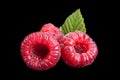 Raspberry fruit on black Royalty Free Stock Photo