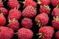 Raspberry fruit closeup on black Royalty Free Stock Photo
