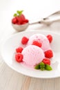 Raspberry fruit ice cream Royalty Free Stock Photo