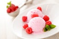 Raspberry fruit ice cream Royalty Free Stock Photo