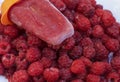 Raspberry fruit ice cream and fresh raspberries Royalty Free Stock Photo