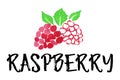 Raspberry fruit label and sticker