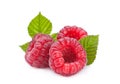 Raspberry fruit Royalty Free Stock Photo