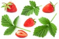 Raspberry fruit and leaf set closeup on white Royalty Free Stock Photo