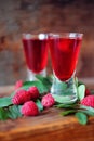 Raspberry fruit liqueur in two shot glasses with berries and green leaves Royalty Free Stock Photo