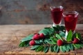 Raspberry fruit liqueur in two shot glasses with berries and green leaves Royalty Free Stock Photo